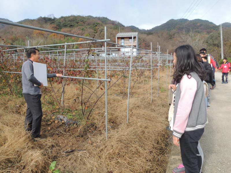 이수미팜베리 유기농 농장 전경